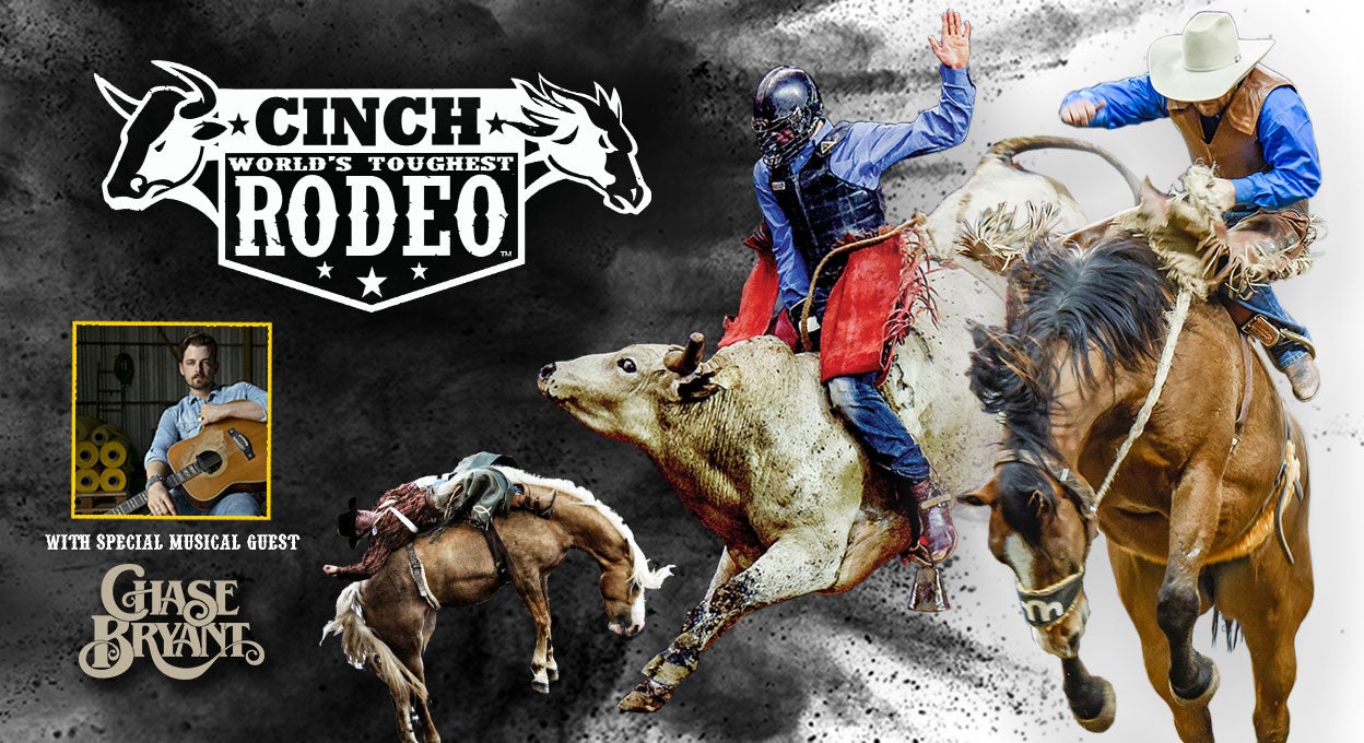 World's Toughest Rodeo Indy: Trick horse's extraordinary rise to stardom