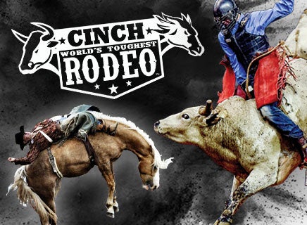 World's Toughest Rodeo Indy: Trick horse's extraordinary rise to stardom